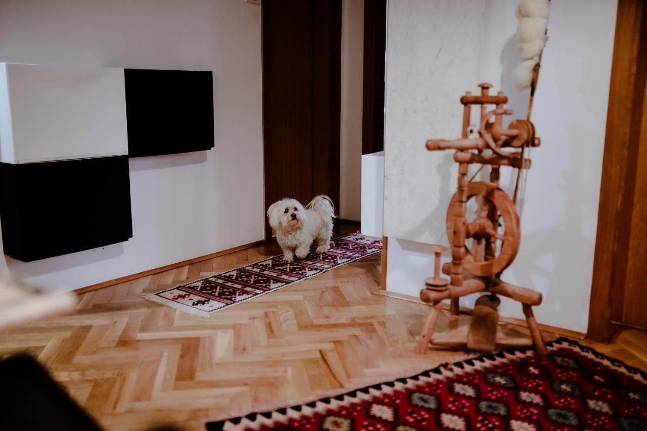 Apartment Suncana Dolina Zlatibor Dış mekan fotoğraf